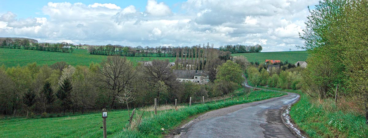 Vierherrenborn Hunsrück 