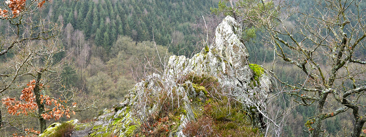 Altlayer Schweiz Hunsrück 