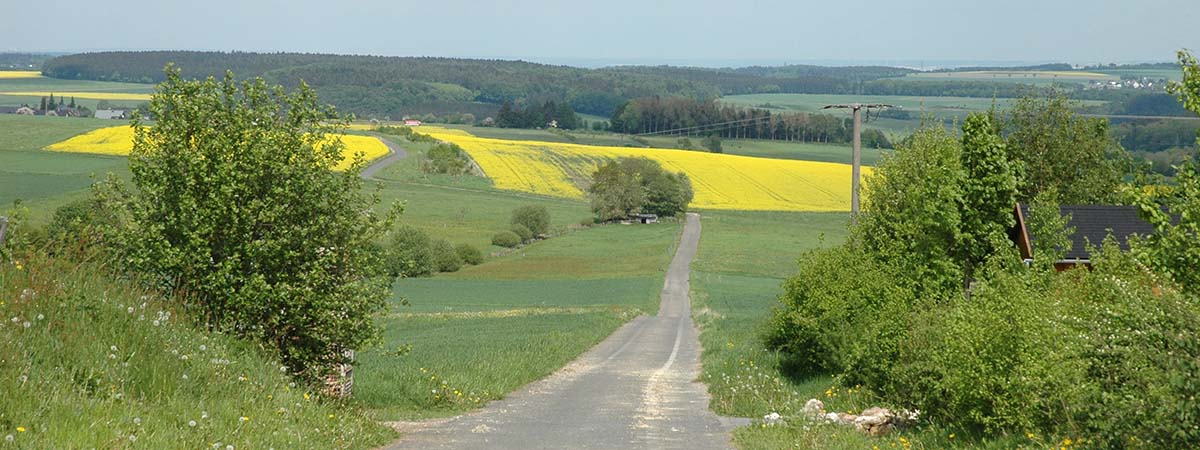 Ausoniusstraße Hunsrück 