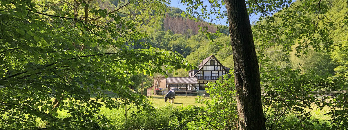Ehrbachklamm Hunsrück 